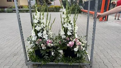 Centrum Kwiatowe RÓŻA